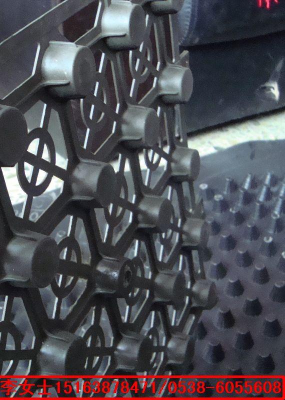 供應漳平-屋頂花園塑料蓄排水板-山東廠家批發(fā)