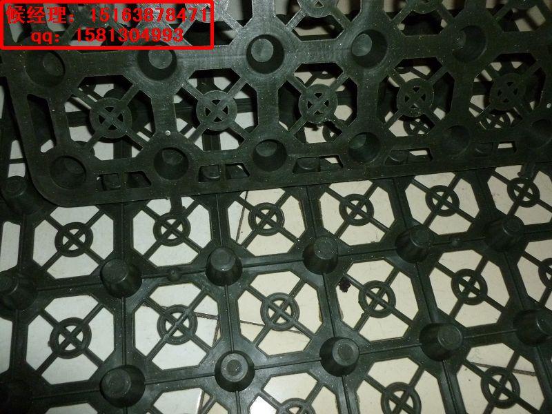 毫州塊狀排水板池州排水板的圖片