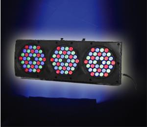 LED燈價格圖片
