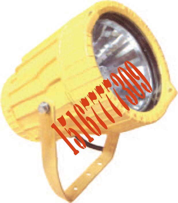 溫州防爆投光燈生產(chǎn)廠家圖片