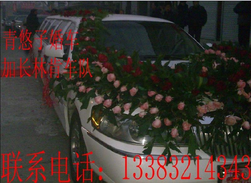 石家莊婚慶車隊(duì)圖片