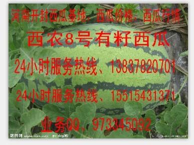 供應(yīng)河南省開封市西瓜種植基地、河南省開封市無籽西瓜種植基地