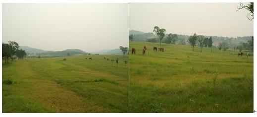 木蘭草原、木蘭草原、武漢米蘭草原一日游、木蘭草原一日游  88元