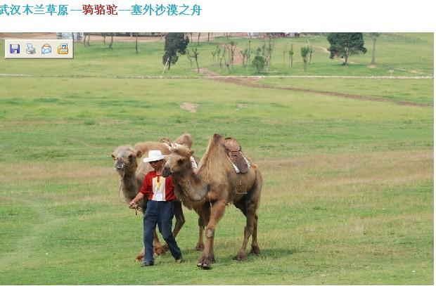 武漢木蘭草原騎馬、武漢木蘭草原騎馬  武漢木蘭草原騎馬武漢木蘭草