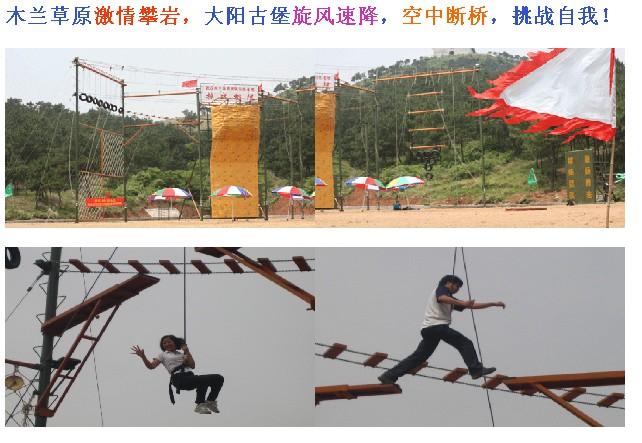 蘭草圖片/蘭草樣板圖 (3)