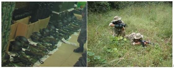 蘭草圖片/蘭草樣板圖 (4)