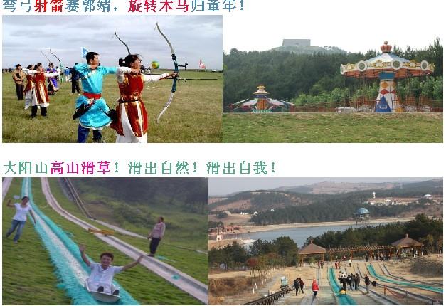 蘭草圖片/蘭草樣板圖 (4)