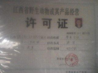 供應(yīng)江西*種苗*價格*批發(fā)