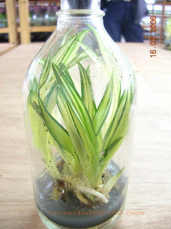 供應(yīng)江蘇徐州玻璃制品