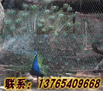 供應(yīng)黔南*養(yǎng)殖，黔南*養(yǎng)殖基地，黔南*苗供應(yīng)，黔南*養(yǎng)殖戶