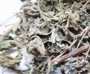 供应茶叶白茶雪芽管家婆苦甘露,三高咽炎失眠图片