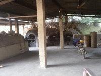 供應(yīng)*七葉絞股藍(lán)茶供應(yīng),*七葉絞股藍(lán)茶廠家供應(yīng),*絞股藍(lán)茶廠家