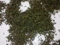 供應(yīng)*甘味絞股藍(lán)茶公司，*甘味絞股藍(lán)茶生產(chǎn)基地