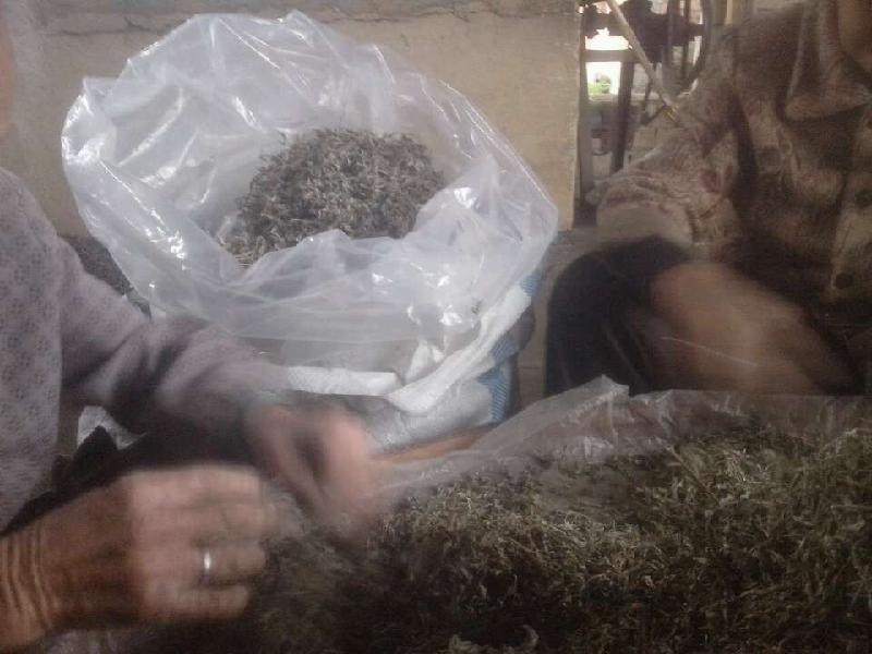 供應(yīng)*矛巖酶供應(yīng)，*矛巖酶供應(yīng)商，*矛巖酶供應(yīng)商電話