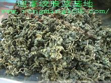 迎富甜味富硒絞股藍(lán)圖片