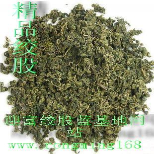 福建絞股藍廠家圖片