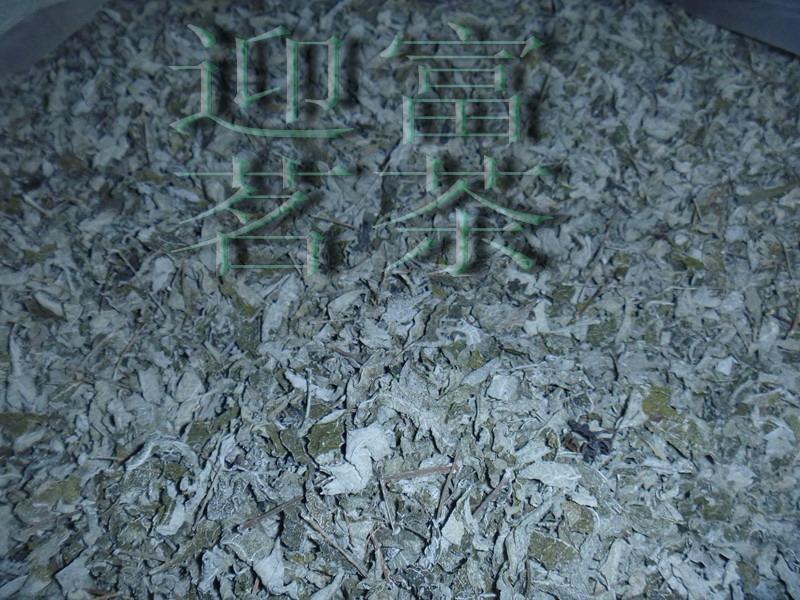 純天然野生苦甘露茶泡水喝的功效圖片