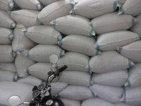 供應(yīng)*七葉絞股藍(lán)新茶上市