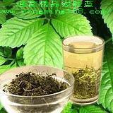 野生甘味絞股藍(lán)茶生產(chǎn)供應(yīng)圖片