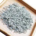 純天然野生苦甘露茶廠家圖片