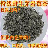 福建廈門特級苦甘露高質(zhì)量高品質(zhì)圖片