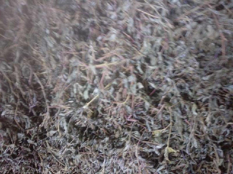 供應富硒藤茶批發(fā)價格，富硒藤茶廠家批發(fā)價格，富硒藤茶產(chǎn)地批發(fā)價格