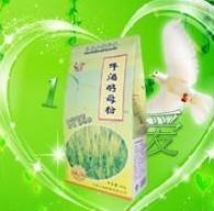 清遠(yuǎn)揭陽(yáng)云浮哪里有啤酒酵母粉賣圖片