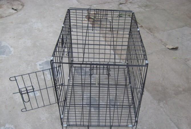 供應(yīng)雞籠兔籠鴿籠廠家批發(fā)