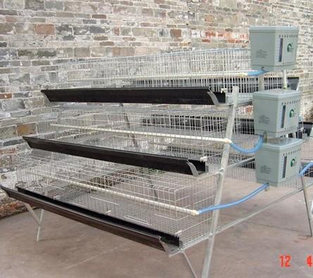 供應(yīng)雞鴿兔籠廠家電話