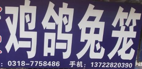 衡水安平圖片/衡水安平樣板圖 (3)