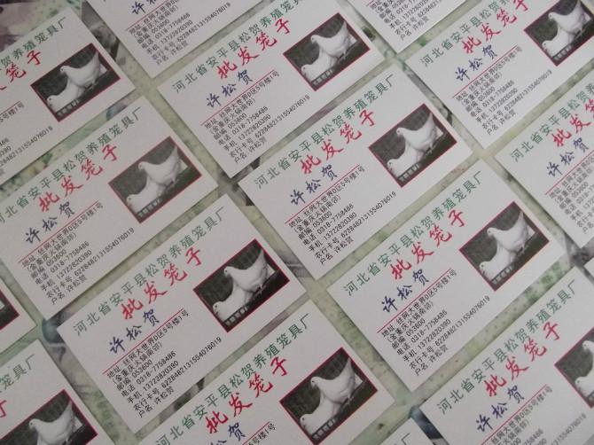 雞鴿兔籠價格鴿子兔子籠子廠家價格圖片