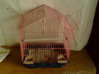 供應(yīng)安平寵物籠廠