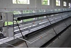 供應(yīng)雞鴿兔籠價(jià)格鴿子兔子籠子廠家價(jià)格