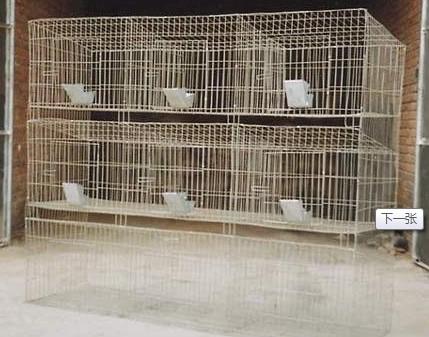 供應安平兔籠子 兔子籠子 河北兔子籠廠家 安平兔籠 養(yǎng)殖兔籠