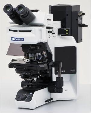 供应Olympus显微镜BX53，显微镜BX53