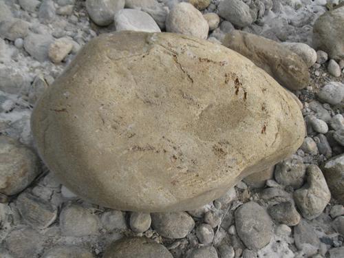 河道石 河南鵝卵石多少錢(qián)一噸