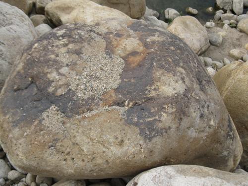 駁岸石 河南大鵝卵石價(jià)格