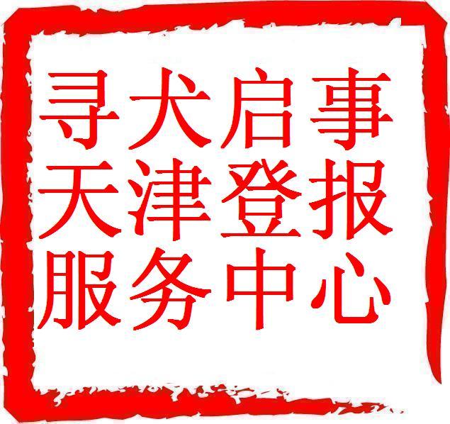 【尋犬啟事】天津報紙廣告服務中心力推每日新報報花廣告版位