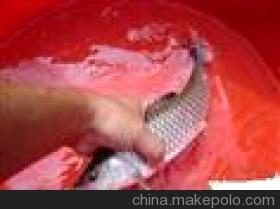 供應(yīng)河鰹 青竹鯇