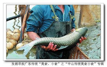 供應脆肉鯇魚苗