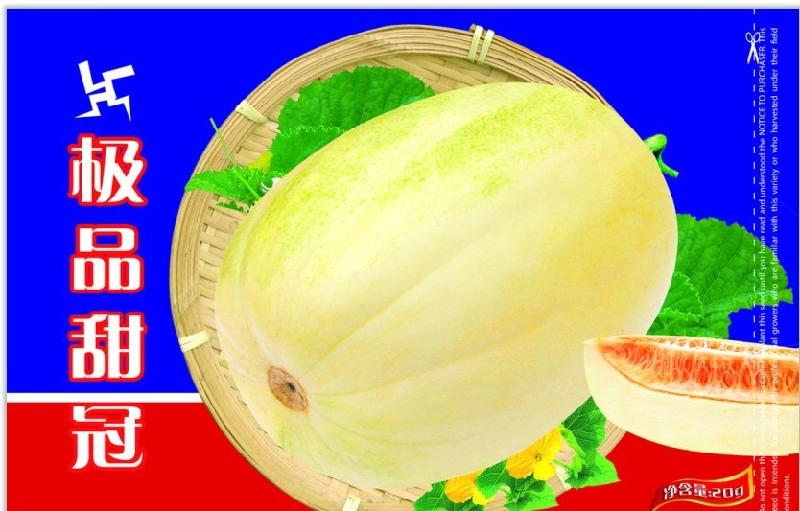 鄭州塑料圖片/鄭州塑料樣板圖 (2)
