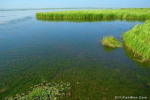 若爾蓋花湖簡(jiǎn)介圖片