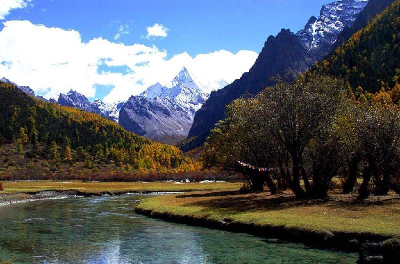 供應(yīng)四姑娘山當(dāng)?shù)仫嬍?  title=