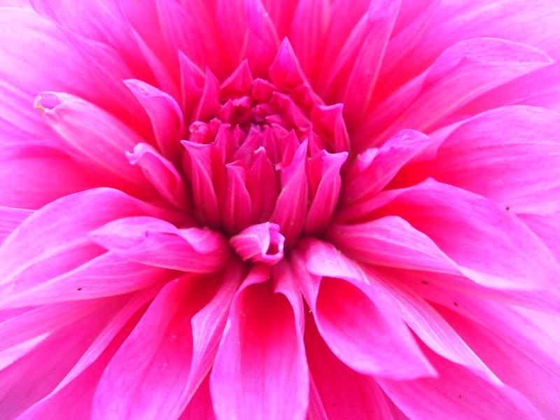 供應(yīng)九寨地理旅游指南