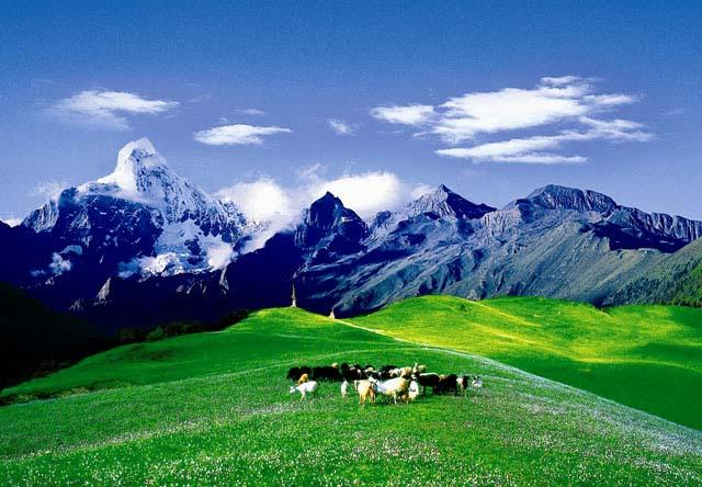 供應(yīng)金秋四姑娘山旅游攻略