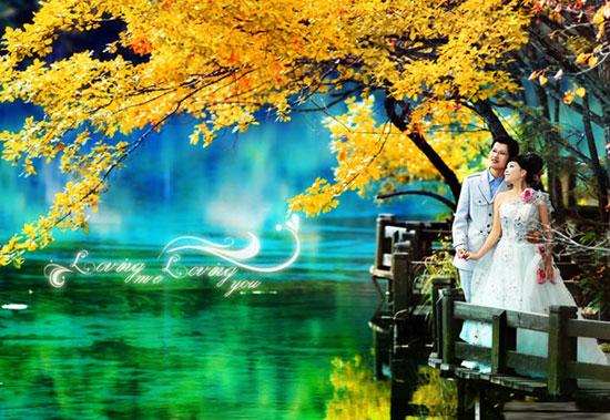 供應(yīng)九寨溝旅游