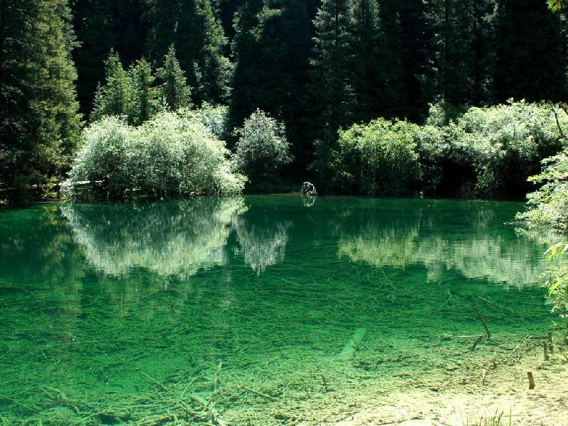 供應九寨溝包車自助游常見問題