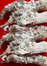 供應(yīng)九寨溝藥材簡介