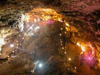 黃龍景區(qū)黃龍洞九寨溝旅游租車行圖片