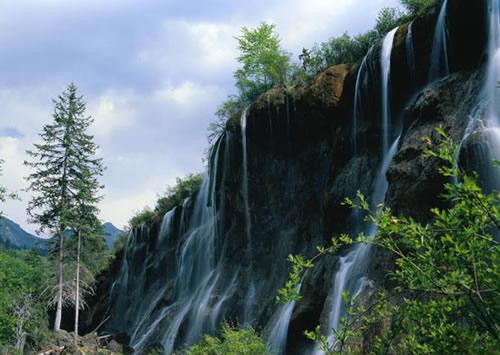 九寨溝黃龍接機自助游圖片
